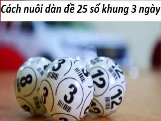 Kinh nghiệm nuôi dàn đề 25 số khung 3 ngày của các cao thủ