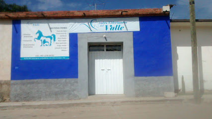 Centro Veterinario Del Valle