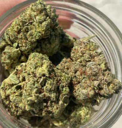 gorilla glue strain buds in jar