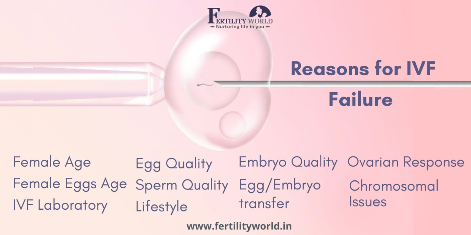 Top 10 reasons for IVF failure 