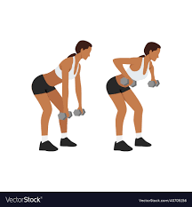 Bent Over Dumbbell Rows
Hinge forward at the hips while holding a dumbbell in each hand, then raise the weights to your sides. Return the weights to their initial position by lowering them. Perform 3 sets of 10–12 repetitions