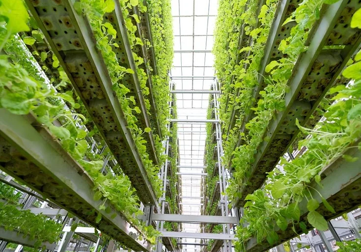 Sky Greens vertical farming agriculture Singapore - Source