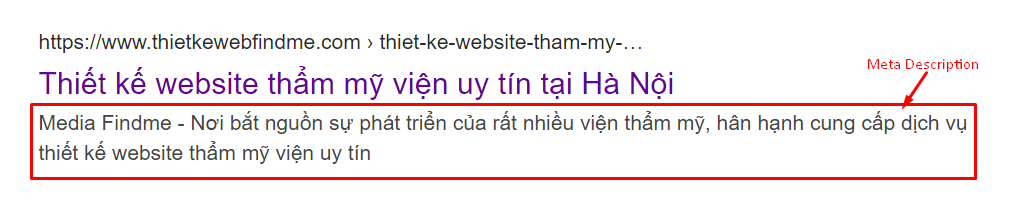 Ví dụ về Meta Description hiển thị khi được tìm kiếm