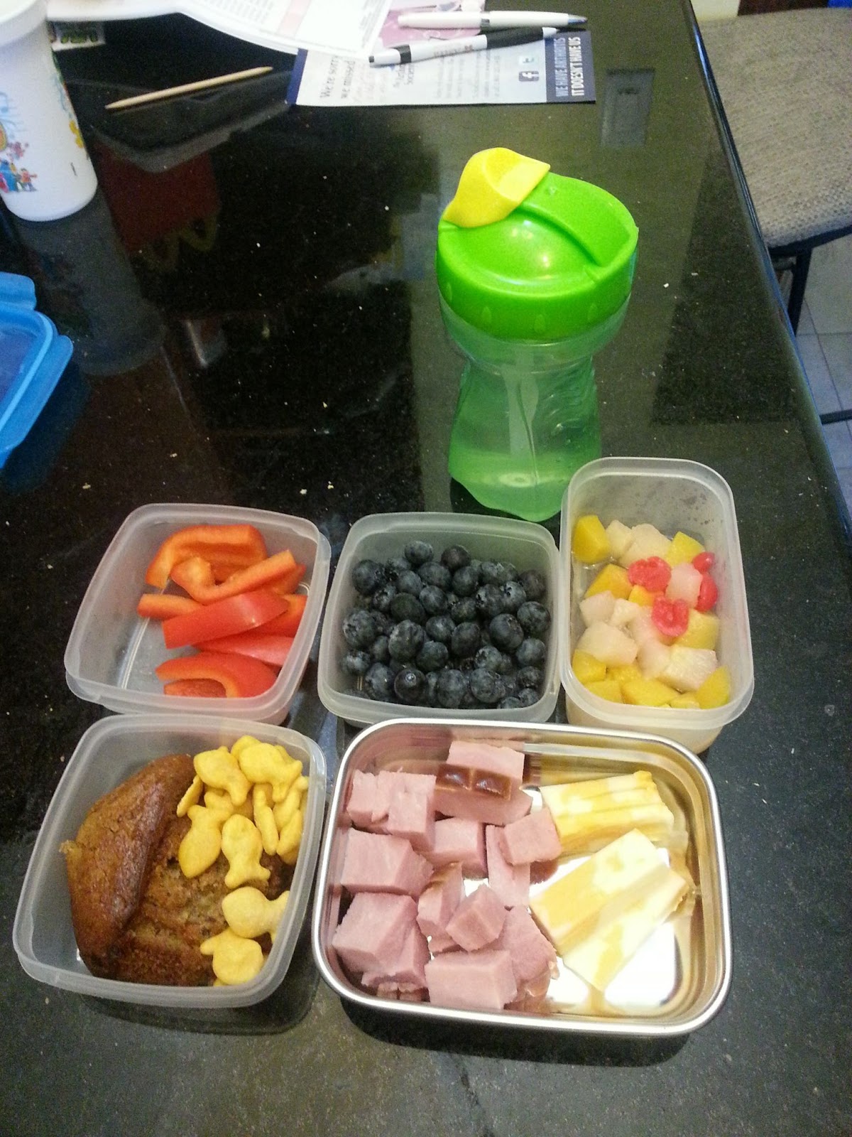25 + Easy Lunch Ideas for School - The Exploring Family