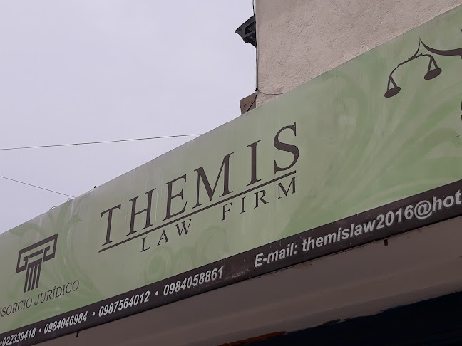 Opiniones de THEMIS LAW FIRM en Quito - Abogado