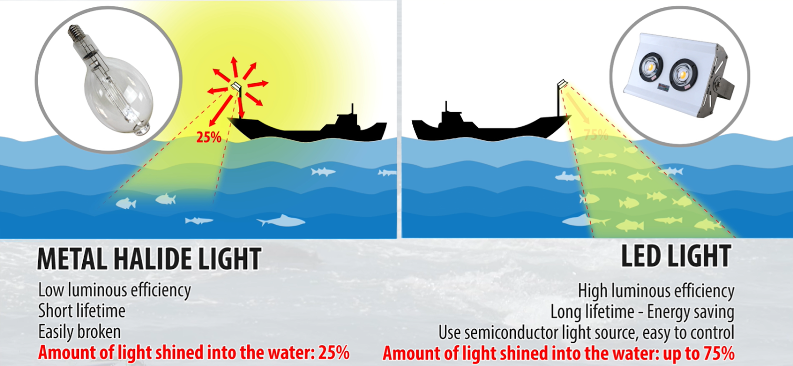 RANG DONG MAKES SPECIALIZED LED LIGHT FOR DEEP-SEA FISHING