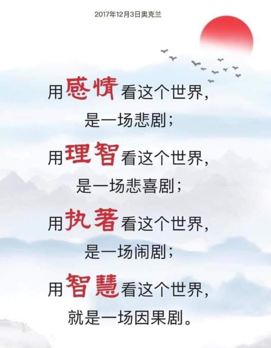 用智慧看这个世界 就是一场因果剧 6park Com