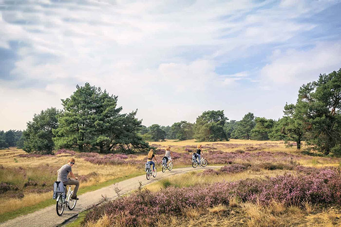 Khám phá tour du lịch Hà Lan - Du khách đi xe đạp trong khu bảo tồn