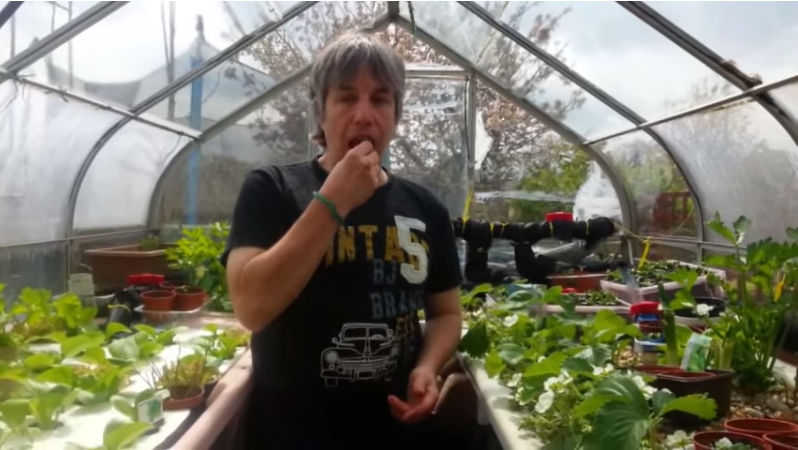Grower eating radish