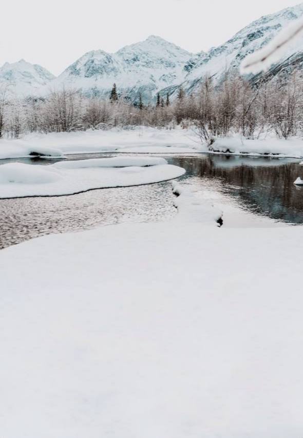 Winter in Alaska photo by Kayla Serene Photography 
https://www.facebook.com/kaylaserenephotography