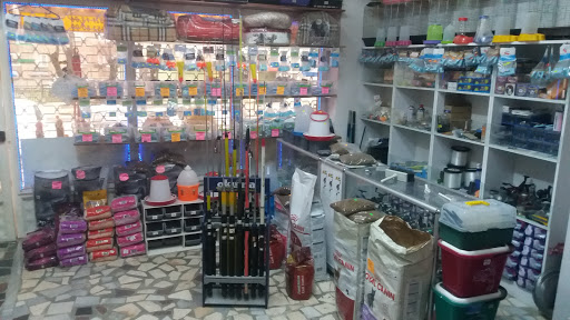 Tropikal Kuş Evi & Pet Shop | Maltepe İstanbul - Kuşçu