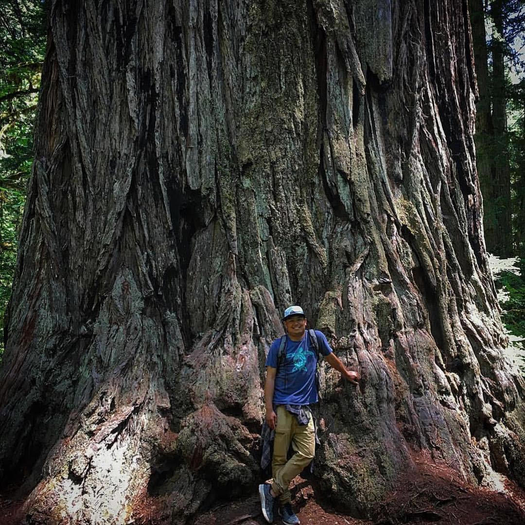 Francis Mendoza with an elder coastal redwood tree on Wiyot land in Redwood National and State Park courtesy of Mya Mendoza.