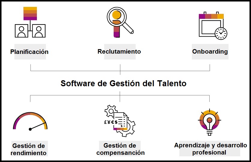 Funciones de un software de gestión del talento