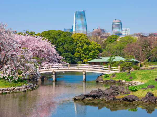 6 สวนสาธารณะ สำหรับการปิคนิคของคุณและครอบครัว ที่ต้องไปเยือนสักครั้งในเมืองโตเกียว ! 3