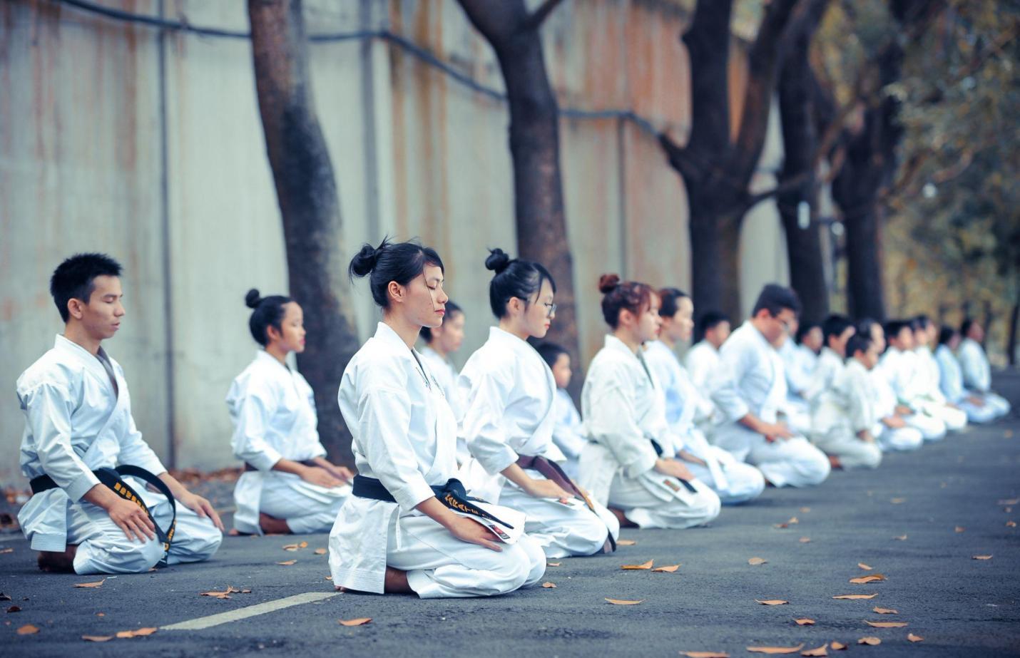 niju kun (20 precepts of karate)