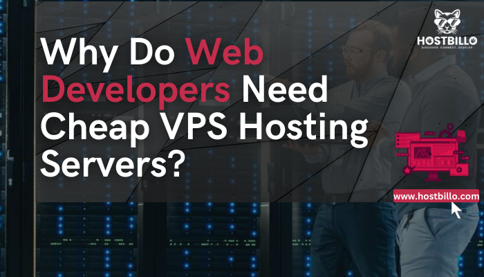 Why Do Web Developers Need Cheap VPS Hosting Servers?