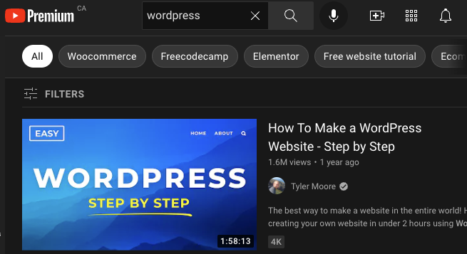 Screenshot of YouTube search results for "Wordpress," which shows new Search Clips.