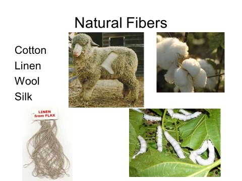 Natural Fibers and Synthetic Fibers