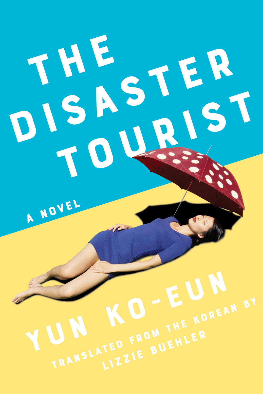 Climate fiction Disaster Tourist