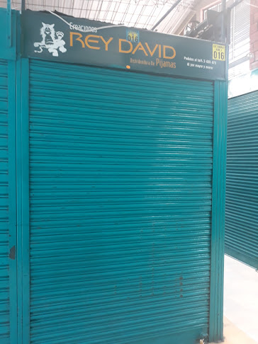 Rey David