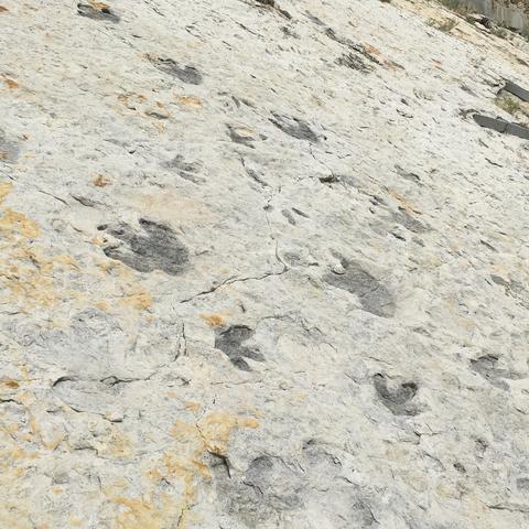 Dinosaur Ridge is a great Denver adventure! 