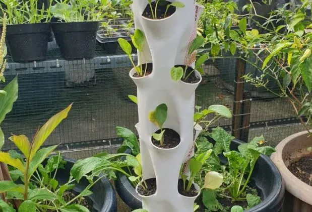 Contoh Kerajinan Membuat Pot Bunga Bertingkat dari Paralon