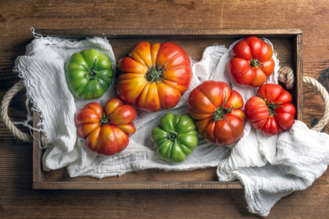 Heirloom tomatoes keep history alive