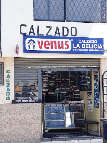 CALZADO VENUS