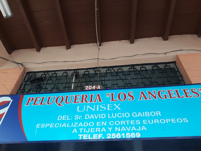 Manuel Galecio, 204, Centro, Guayaquil 090306