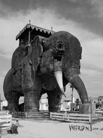 The Moving Story of Lucy the Elephant | Weird NJ