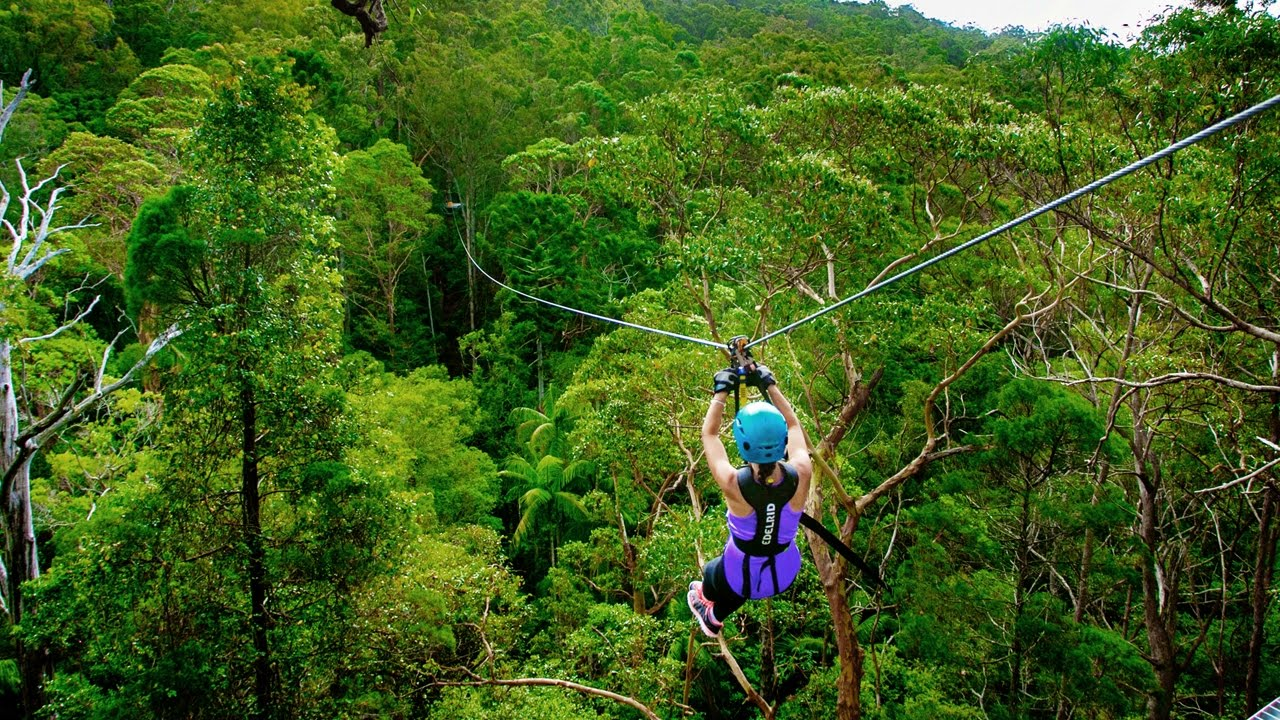 TreeTop Challenge