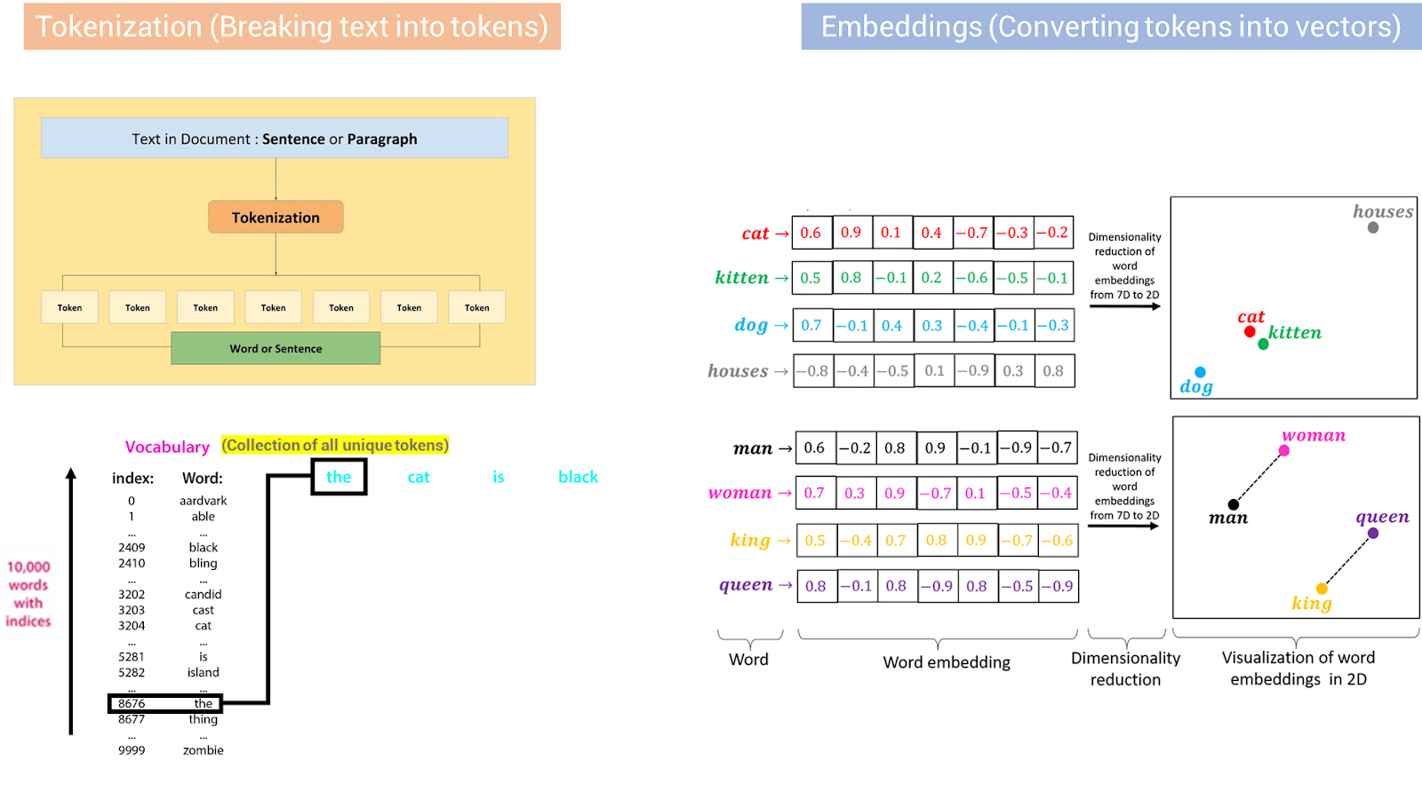 Tokenization, Vocabulary formation, and Embeddings are shown in one picture. Note that the choice of which tokenizer to use and the embedding algorithm are many.