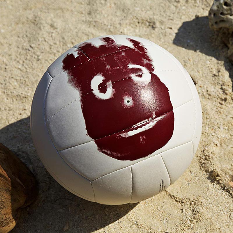wilson volleyball