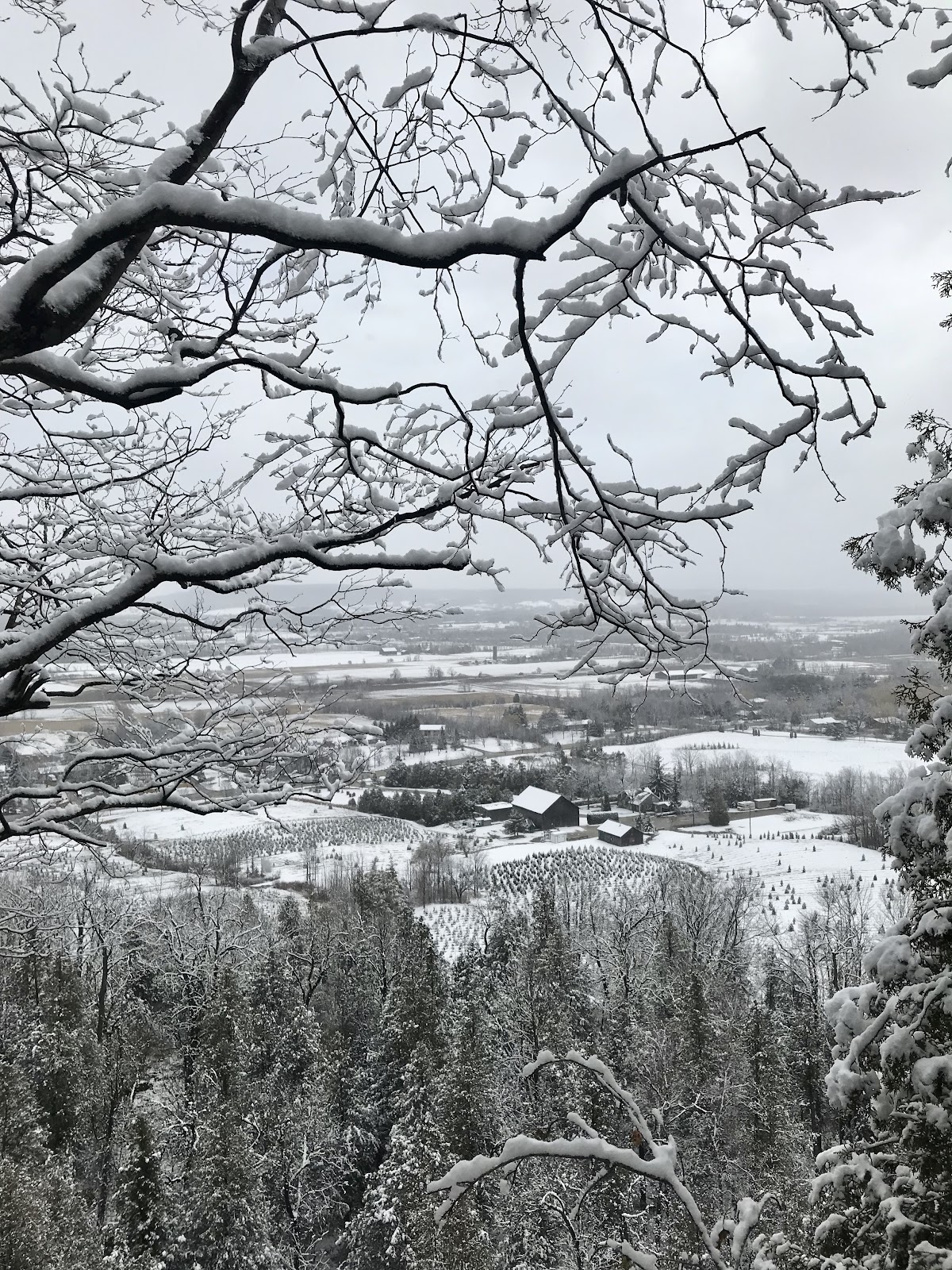 rattlesnake point