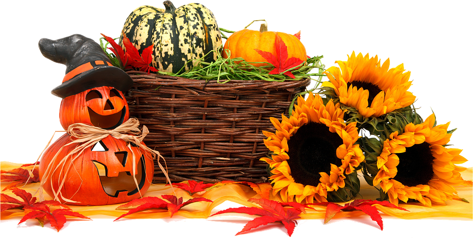 Free illustration: Autumn, Food, Thanksgiving - Free Image on ...