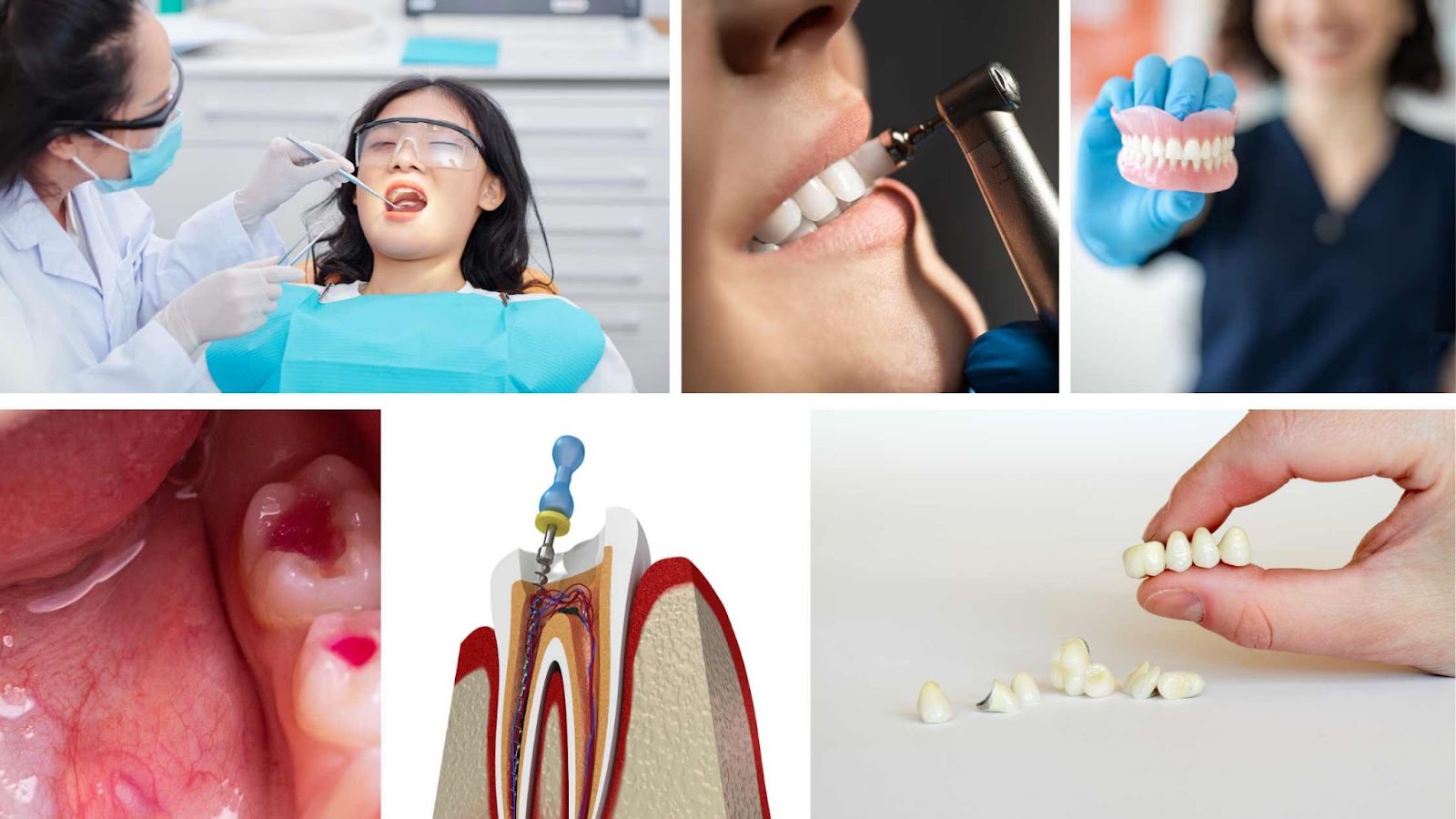 General Dentistry Services 