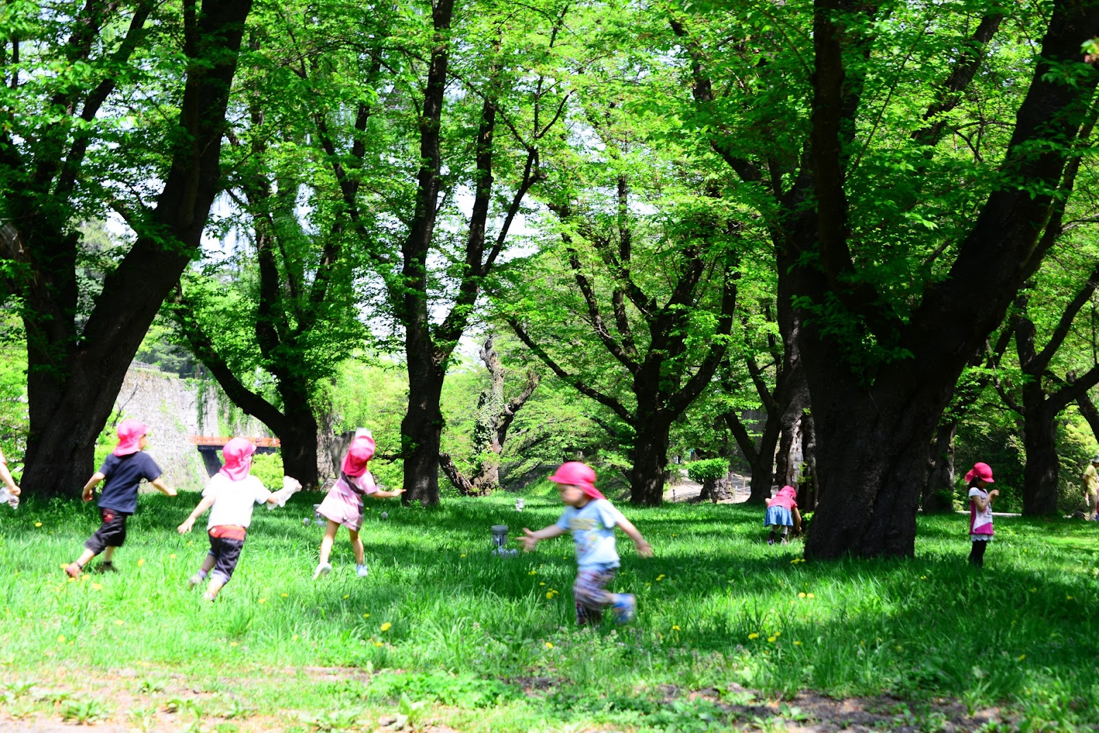 幼稚園 保育所はどうやって選ぶ 選び方のポイントや申し込み方法 奄美市のまーじん子育て応援団