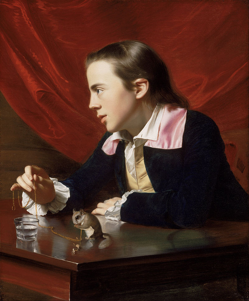 John_Singleton_Copley_-_A_Boy_with_a_Flying_Squirrel_(Henry_Pelham)_-_Google_Art_Project.jpg