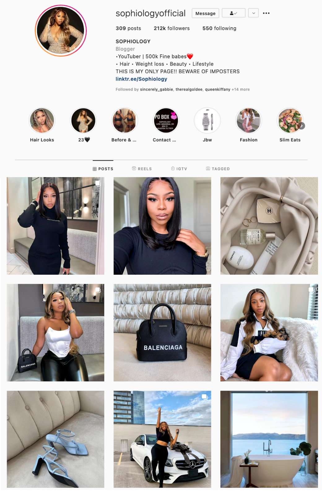 Transition Instagram Theme Example