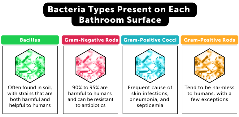 Bacteria that is present on bathroom surfaces, including your faucet and toilet.