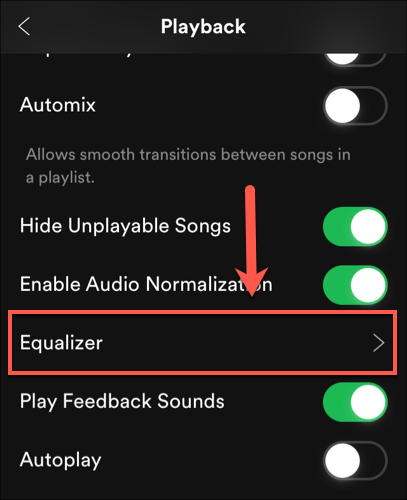 Tap Playback > Equalizer on iOS