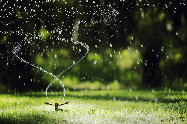 How to Water a Garden Without a Hose: 5 Effective Ways