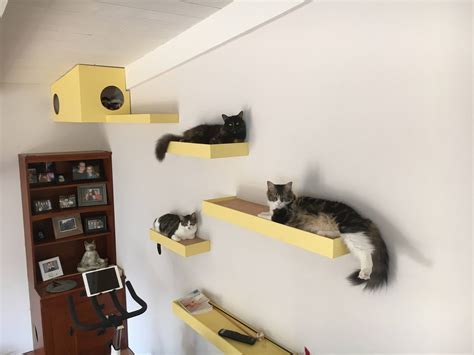 Wall Mounted Cat Shelves