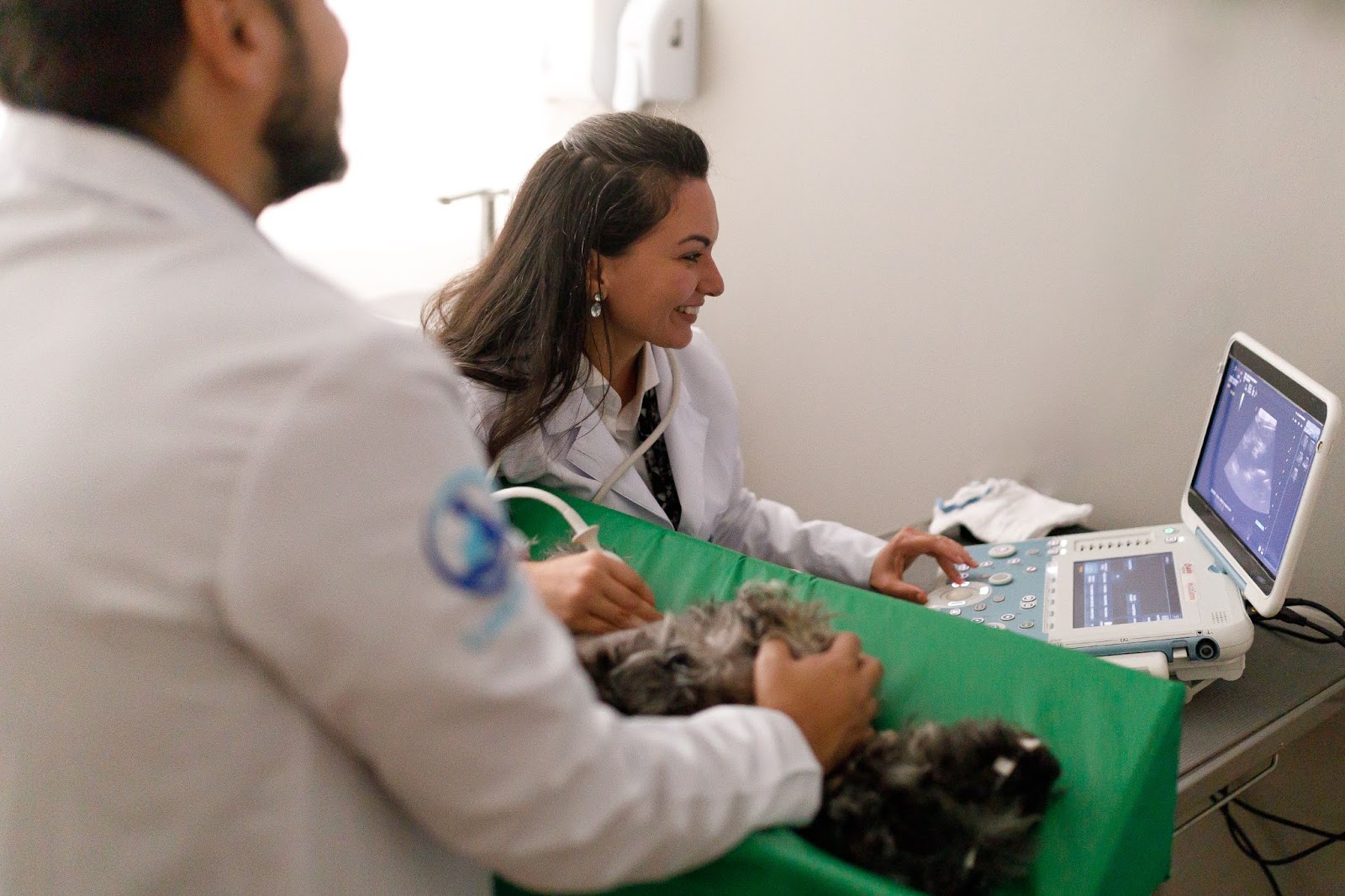 dupla de gestores veterinários atendem cachorra grávida via plano de saúde pet