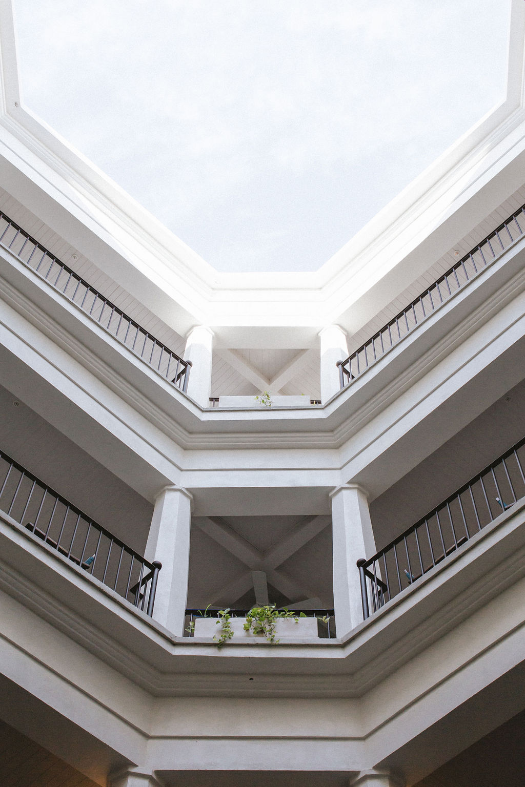 The Atrium is showered in greenery and life