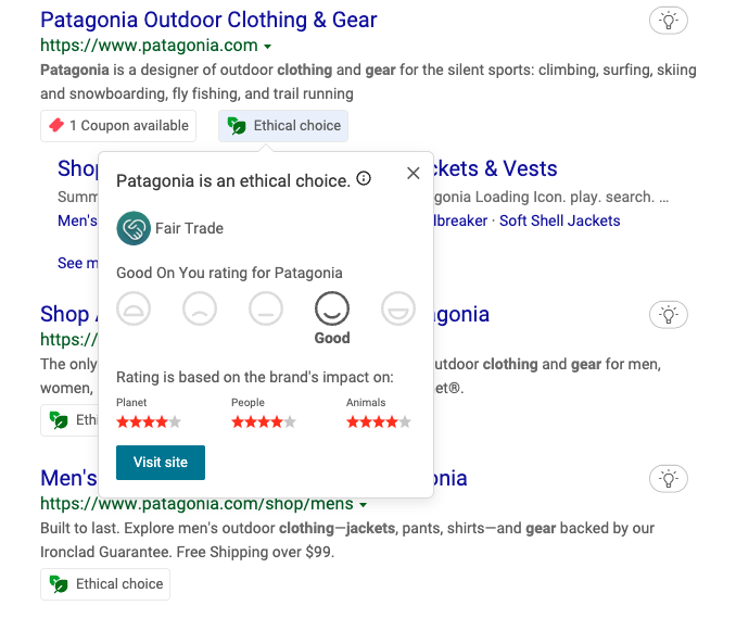Screenshot of Patagonia's 'Ethical Choice' annotation in Microsoft search results.