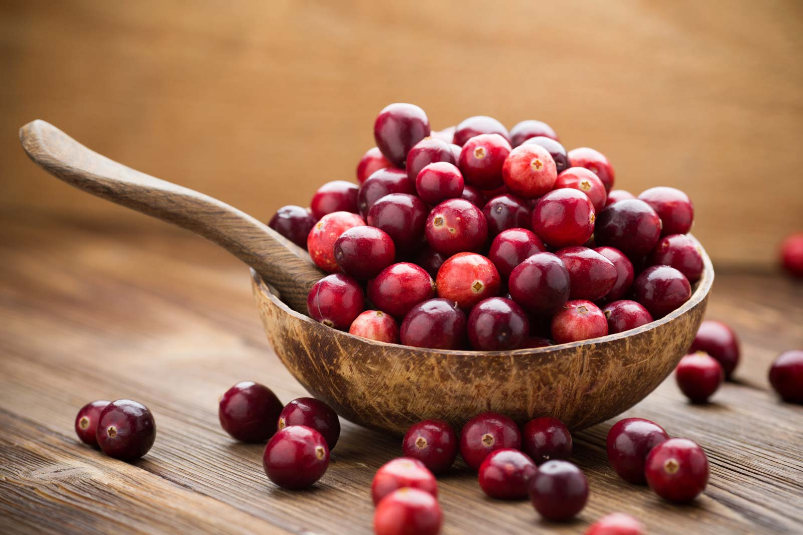Can Dogs Eat Cranberries? Everything You Need to Know