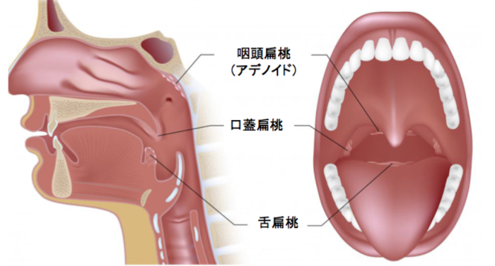 健康心知識 扁桃腺癌 古証元的部落格 痞客邦