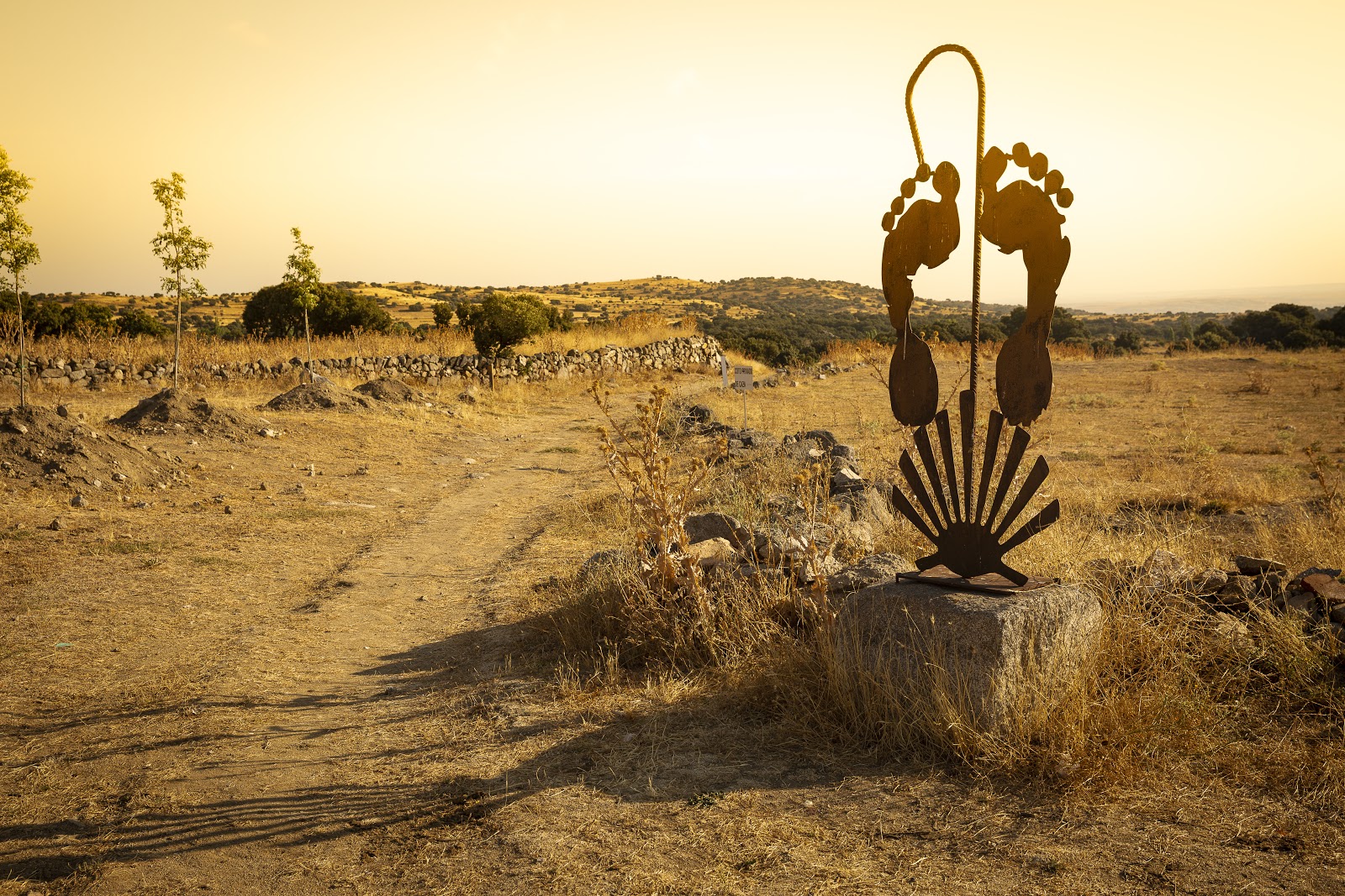 Camino de Santiago