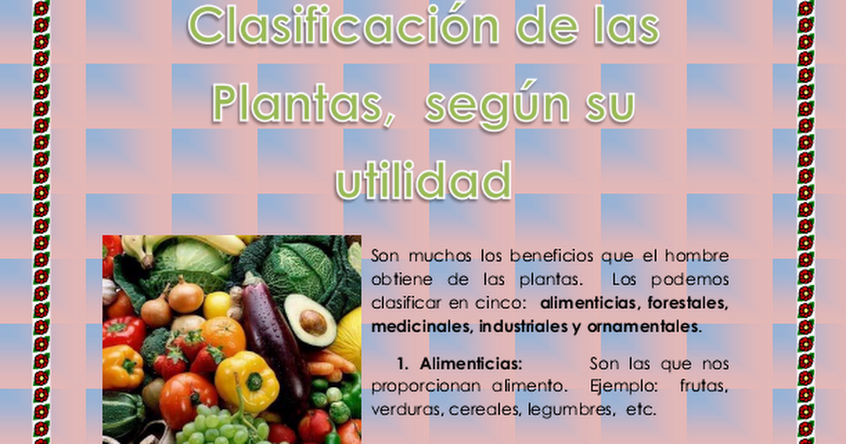 CLASIFICACION DE SU PLANTA SEGUN SU UTILIDAD.pdf - Google Drive